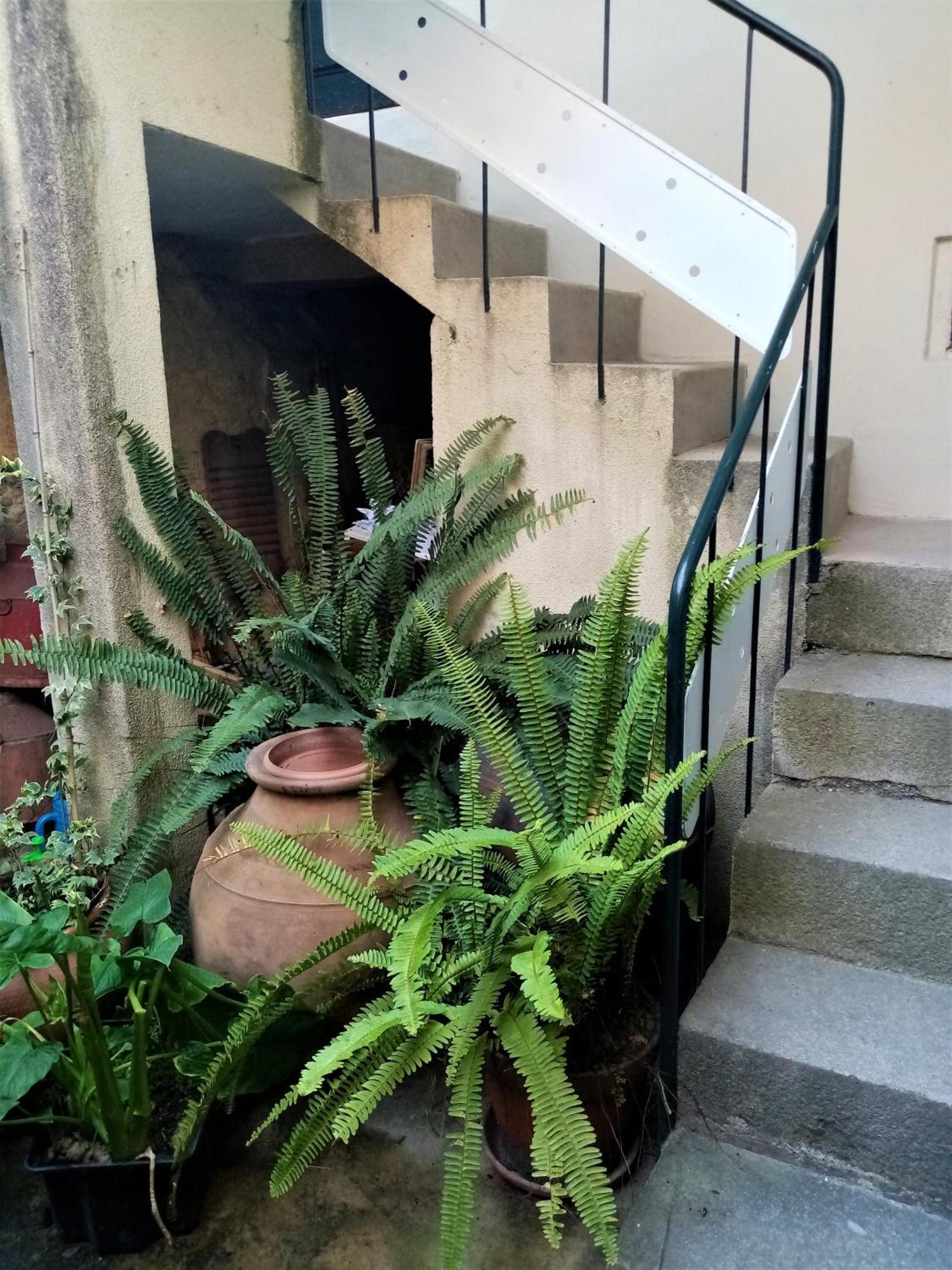 Casa Da Judiaria Velha Ap Apartment วีเซว ภายนอก รูปภาพ