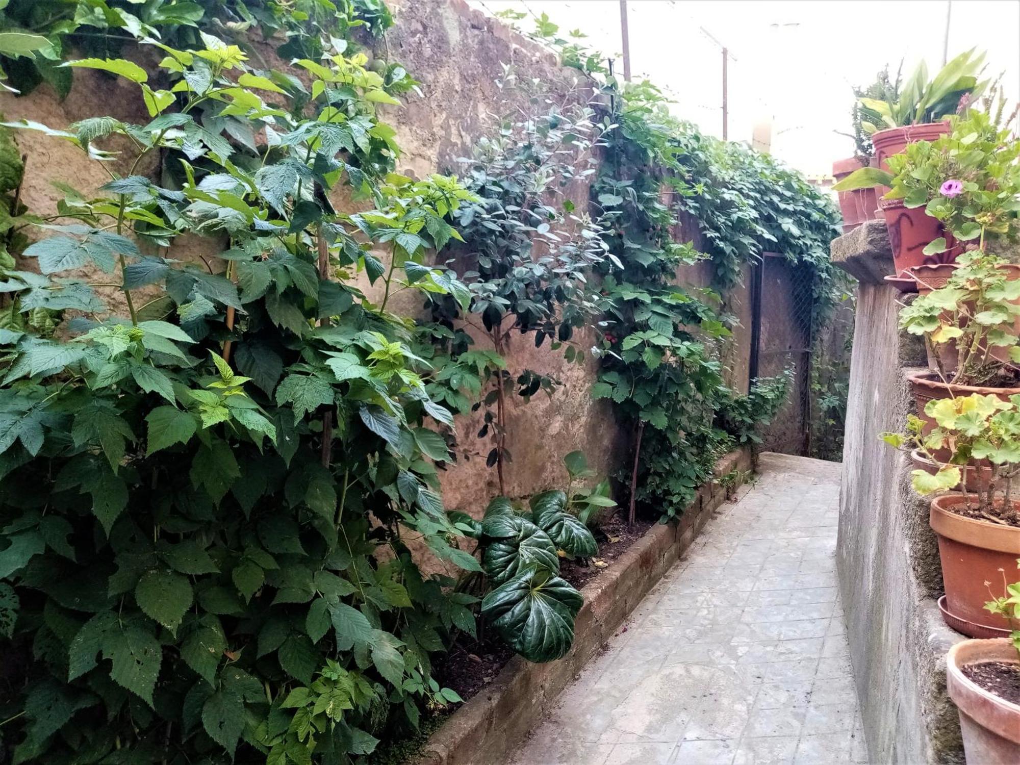 Casa Da Judiaria Velha Ap Apartment วีเซว ภายนอก รูปภาพ